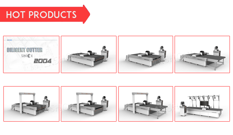 CCD Vibrating Knife CNC