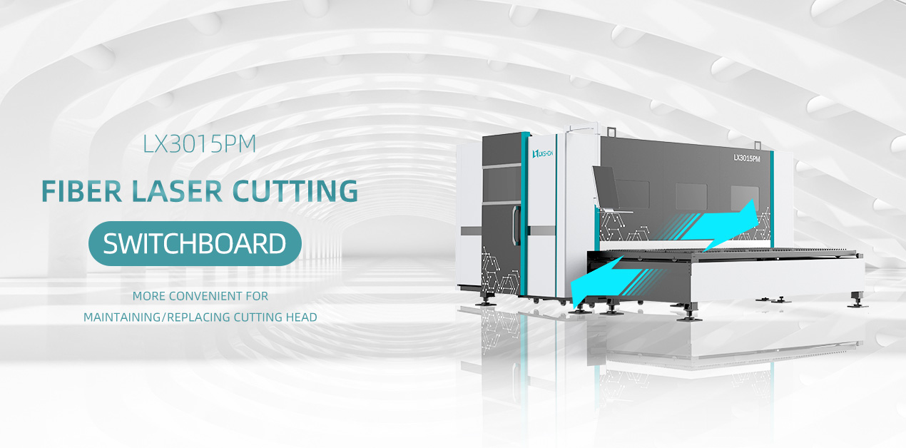 LX3015PM Stainless Steel Cutter for Plate 3000W 6000W 12000W High Accuracy and Fast Speed Laser Cutting Machine